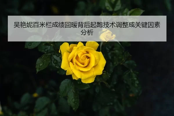 吴艳妮百米栏成绩回暖背后起跑技术调整成关键因素分析