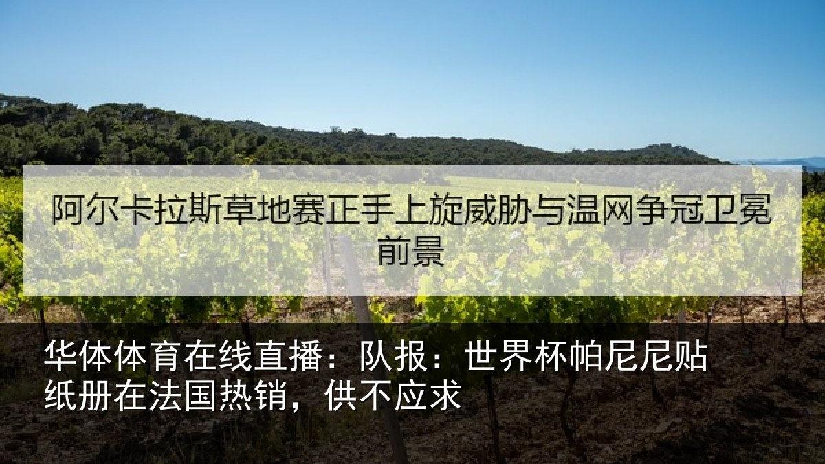 华体体育在线直播:队报:世界杯帕尼尼贴纸册在法国热销,供不应求