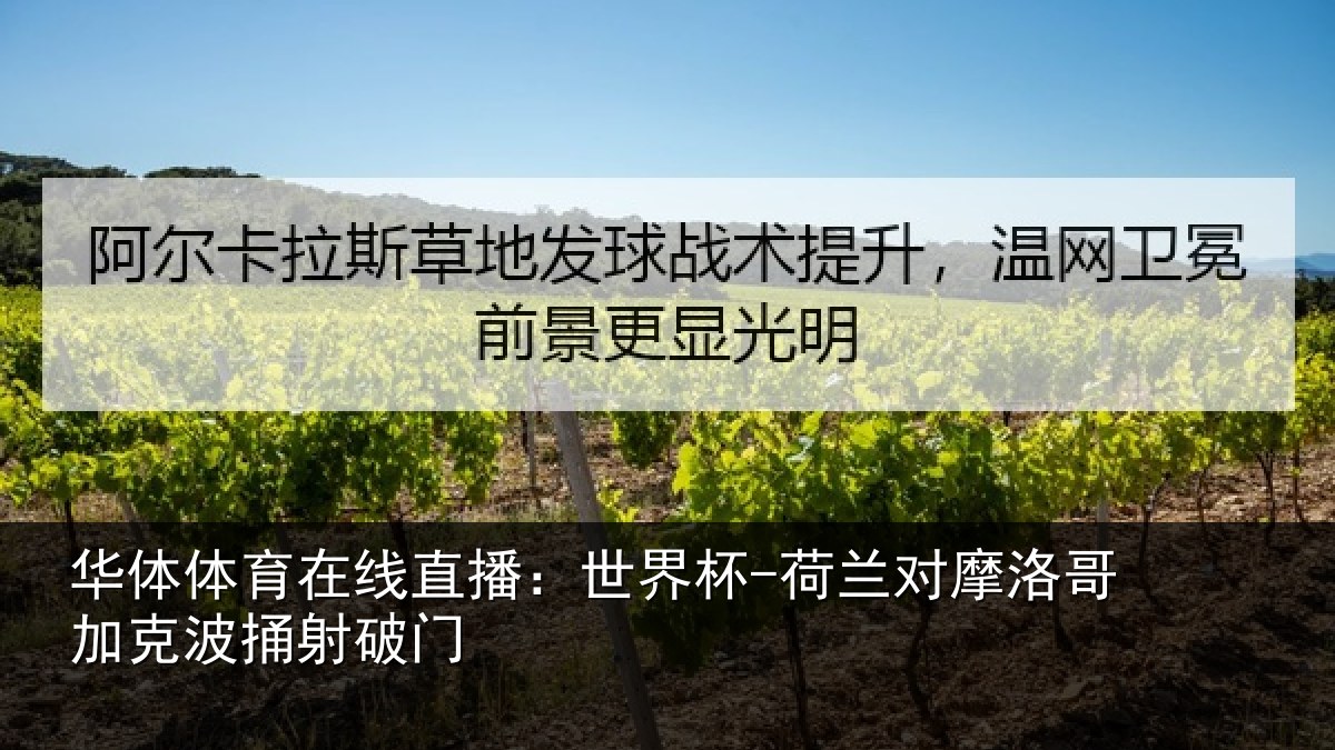 华体体育在线直播:世界杯-荷兰对摩洛哥加克波捅射破门