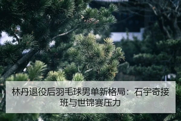 lin-dan-tui-yi-hou-yu-mao-qiu-nan-dan-xin-ge-ju-shi-yu-qi-jie-ban-yu-shi-jin-sai-ya-li-2-841.jpg