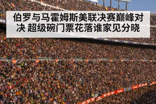 伯罗与马霍姆斯美联决赛巅峰对决 超级碗门票花落谁家见分晓